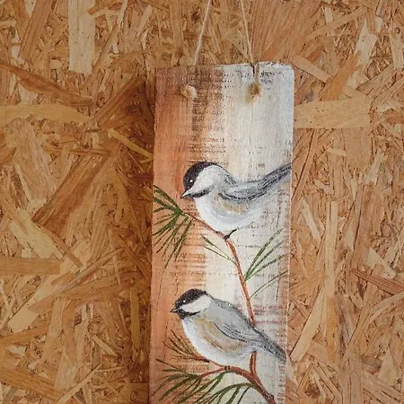 Campingplads Deep Ocean Camping-adults Only *