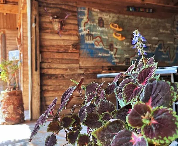 Campingplatz Deep Ocean Camping-adults Only