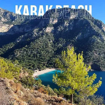 Camping Deep Ocean Camping-adults Only