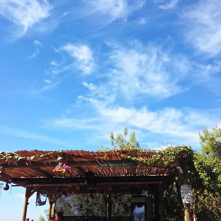 Deep Ocean Camping-adults Only Kemp *