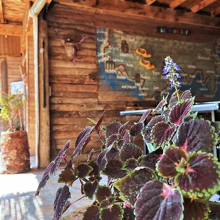 Camping Deep Ocean Camping-adults Only