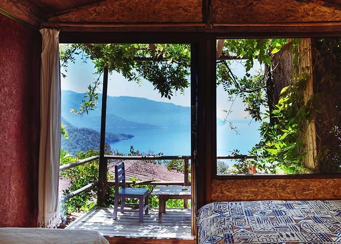 Deep Ocean Camping-adults Only Kemp *