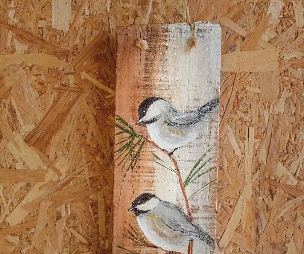 Kemp Deep Ocean Camping-adults Only *